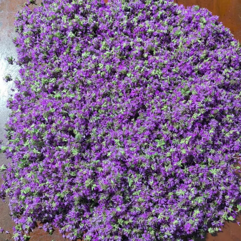 甘肃定西陕西黄土高原地椒花百里香花炝浆水浆水面炝锅香料 30克整花