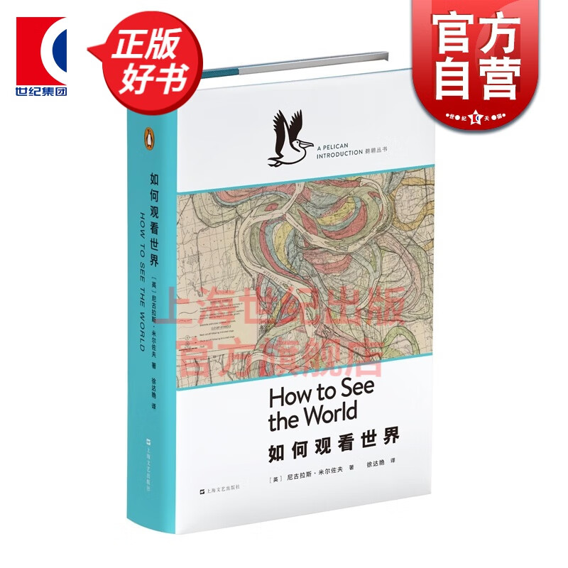 如何观看世界 [英]尼古拉斯米尔佐夫 著