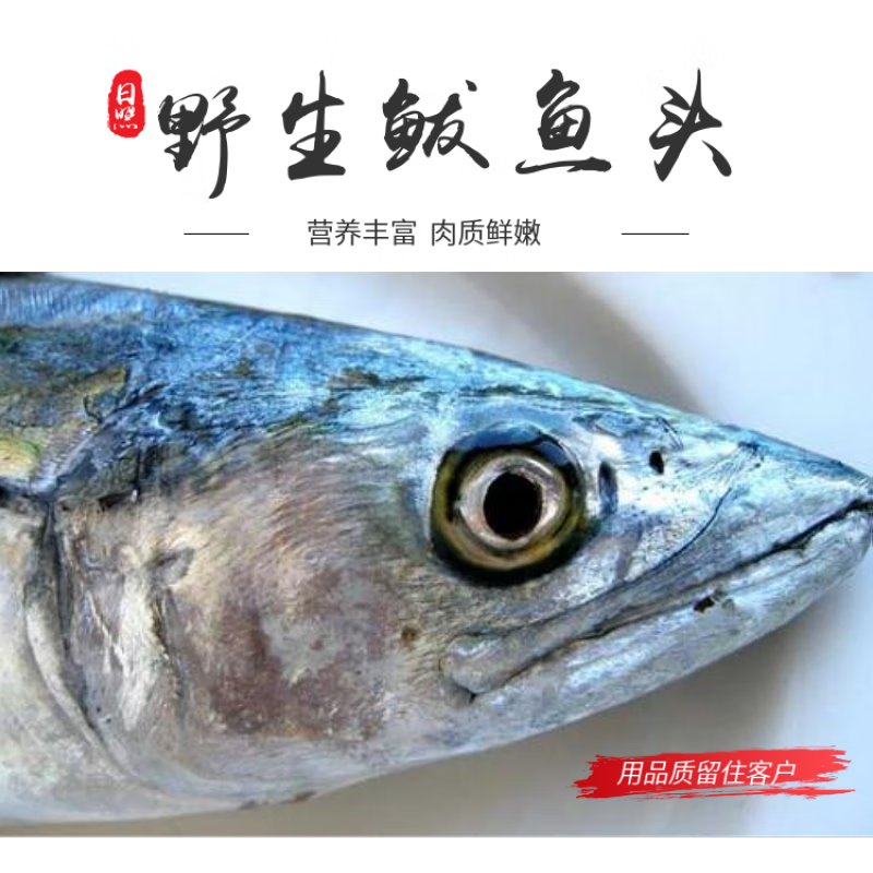 十里馋【大鲅鱼头四斤】顺丰新鲜鲅鱼头马鲛鱼头海鱼燕尾鲅海产批