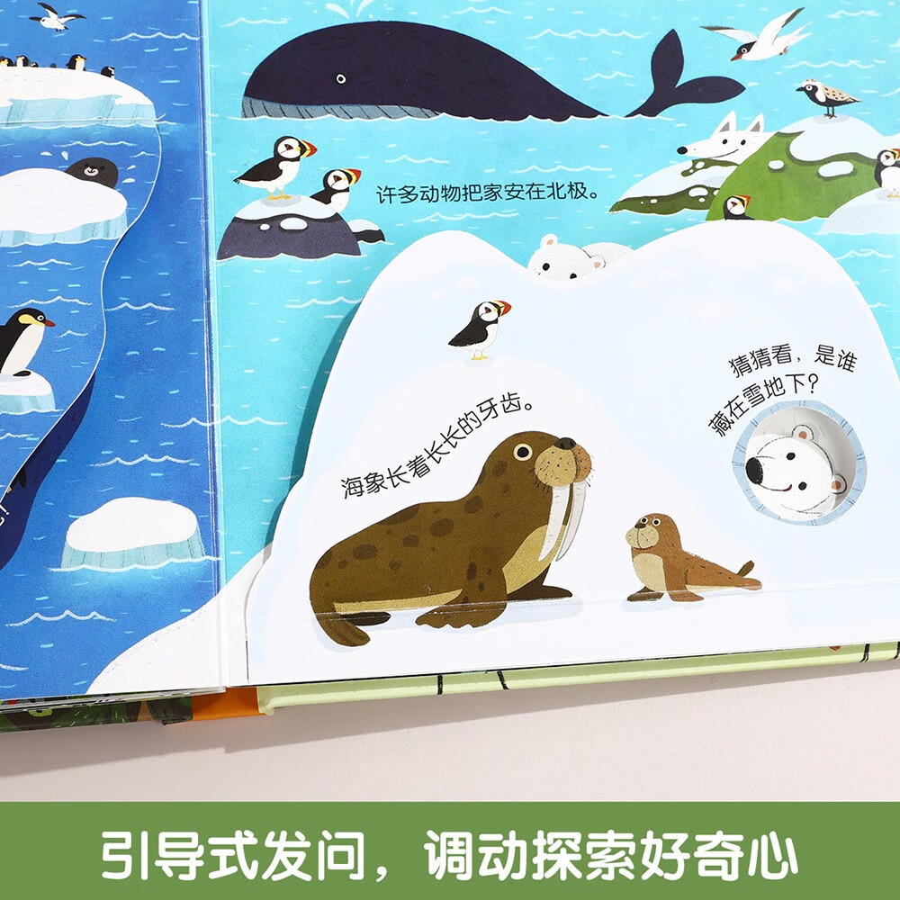 揭秘小世界认知+立体篇(8册)森林/城市/四季/海洋/夜晚/农场/恐龙/动物的家 暑假作业 一升二暑假衔接 小升初暑