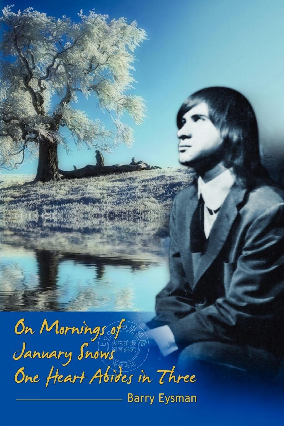 【预售 按需印刷】on mornings of january snows one heart abides