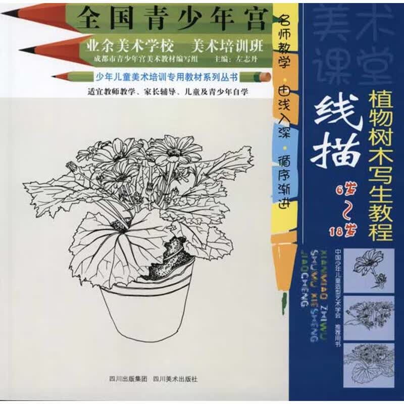 线描植物树木写生教程