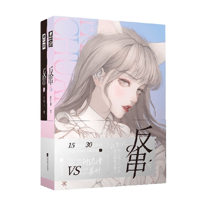 反串 上下 红刺北 著 青春文学