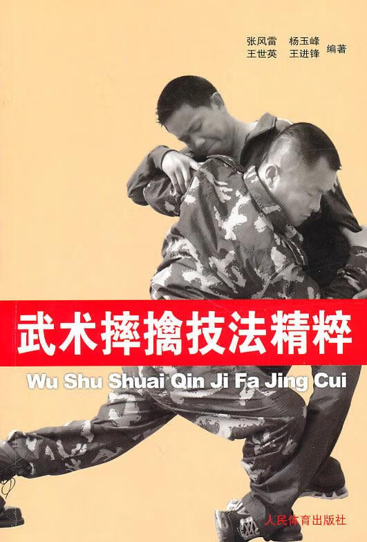 武术摔擒技法精粹