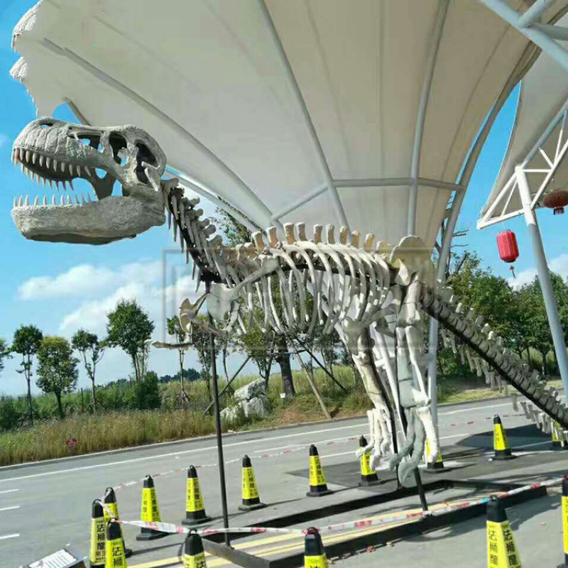 大型仿真恐龙骨架恐龙化石骨骼恐龙骨头博物馆恐龙标本霸王龙摆件定制