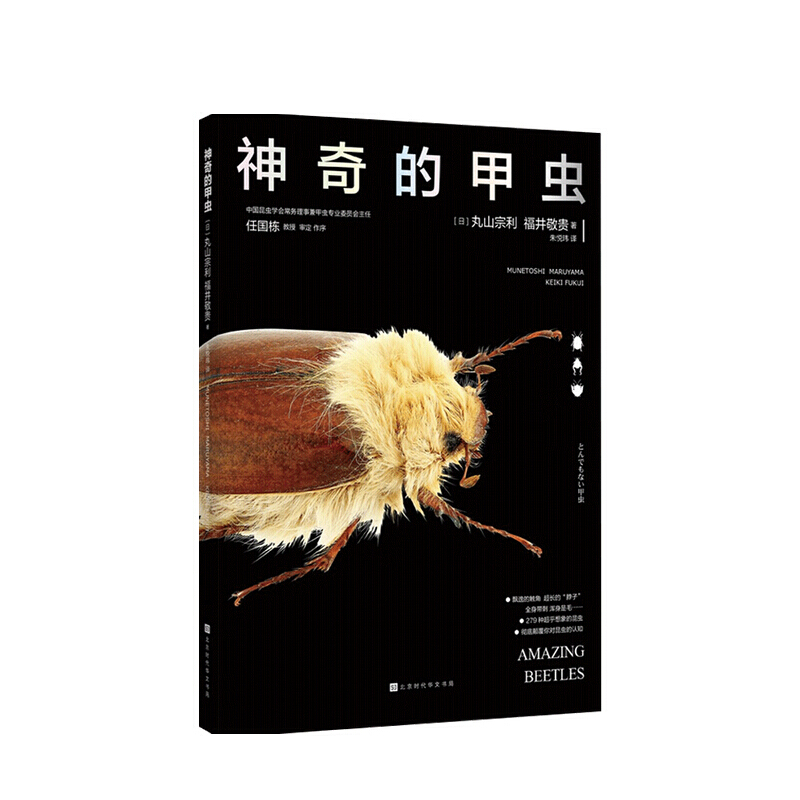 神奇的甲虫 丸山宗利 等著