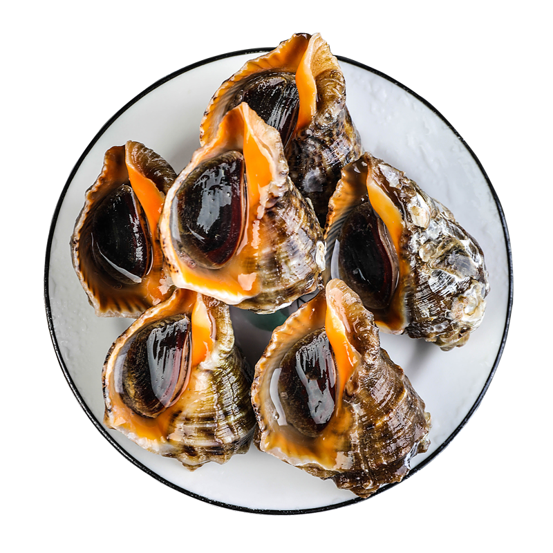 ӯʡ ൺʻ 1500g ʱ 13-18ֻ 1500g