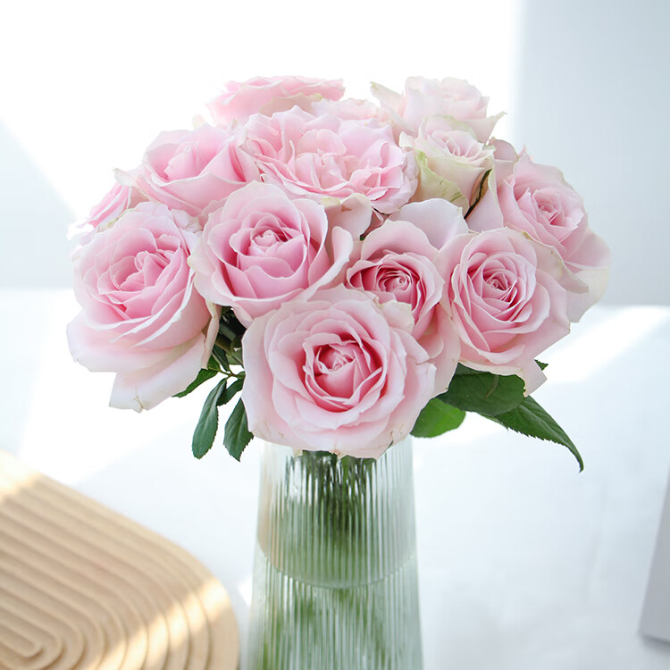 京东鲜花玫瑰粉红雪山20枝a级云南基地生日礼物送女朋友源头直发包邮