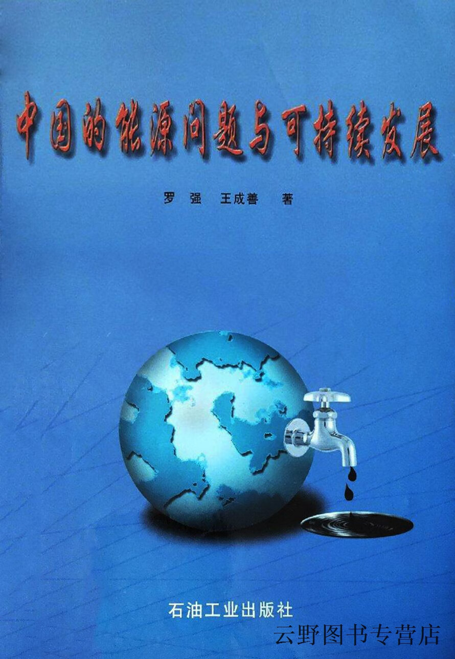 中国的能源问题与可持续发展,罗强,王成善著,石油工业出版社