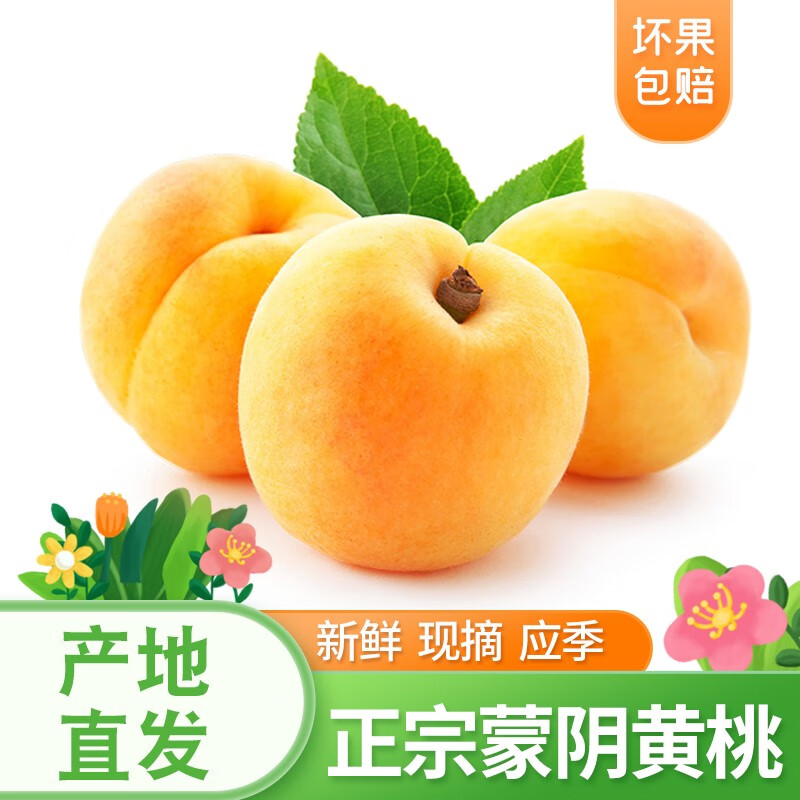 京东新品首发 2023-07-07 - 第22张  | 最新购物优惠券