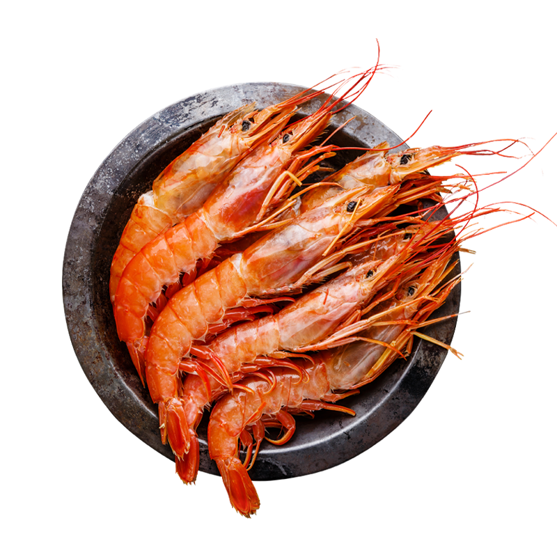 �������� ����͢��ϺL2 4��/46-54ֻ