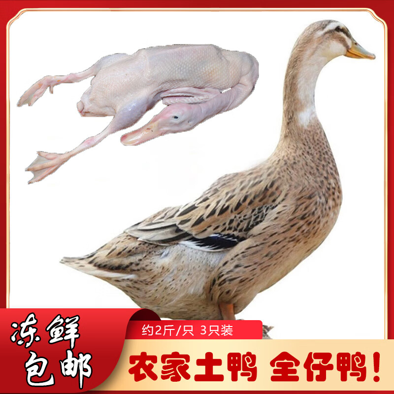 【莘地】品牌鸭肉，品质保证|电商鸭肉价格变化查询