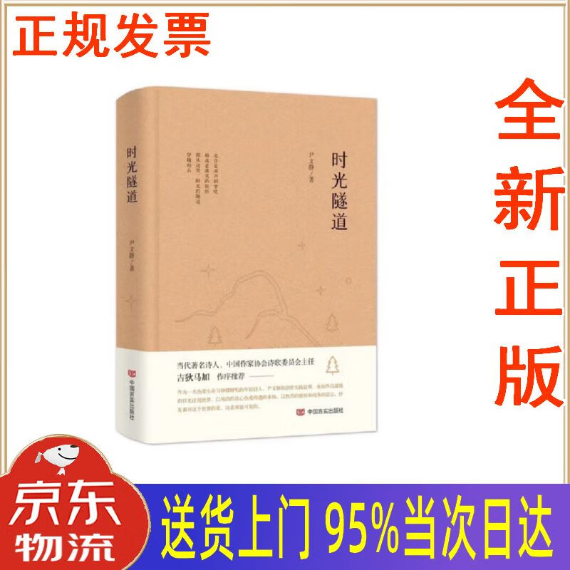 【新华正版 全新书籍】时光隧道 尹文静 中国言实出版社