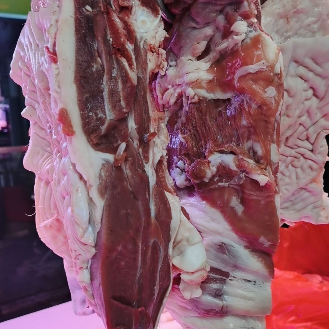 西帕克崇明岛正宗新鲜带皮山羊肉,当天宰杀隔天发货 5斤新鲜带皮羊腩