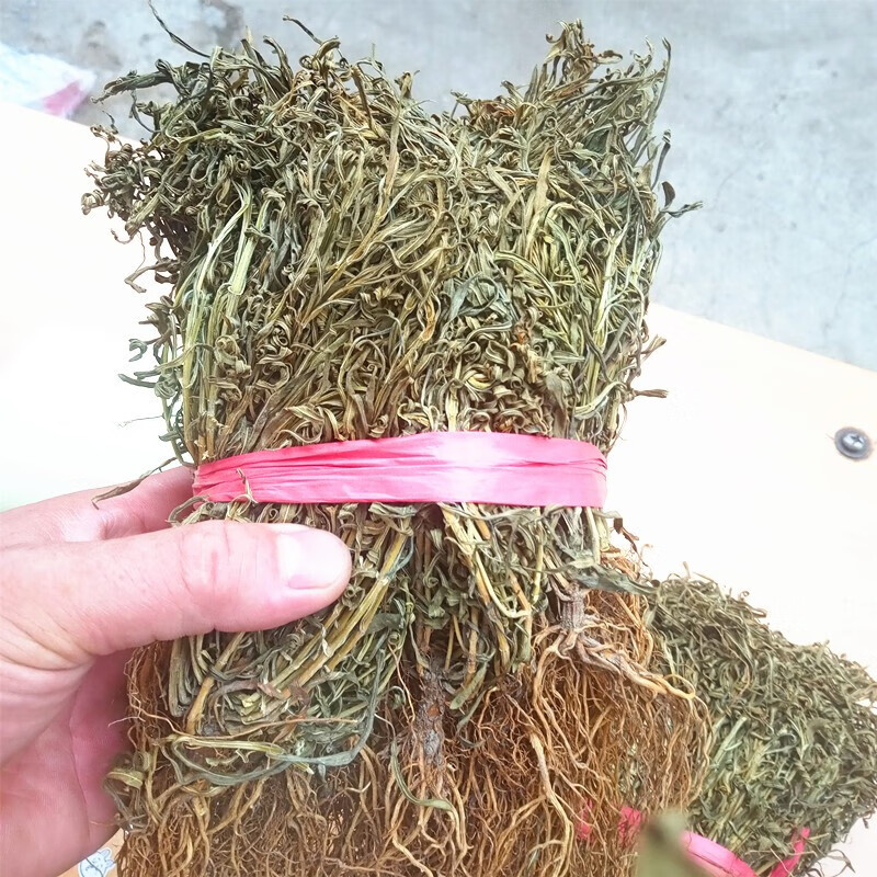 水灵芝 食滋补 新货净货水灵芝 水黄连 鱼胆草 100克 图片色 克 图片
