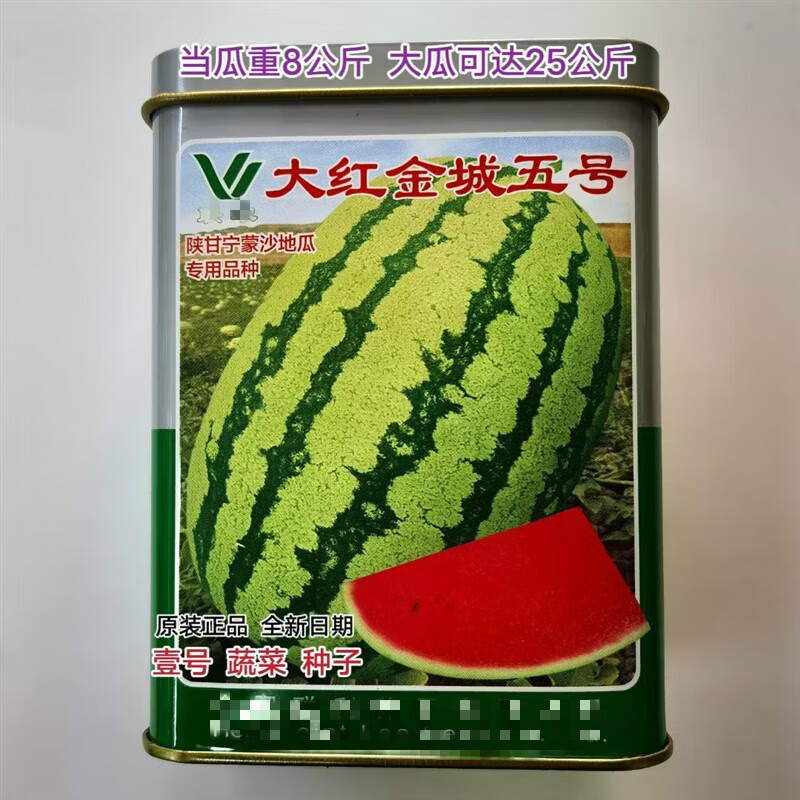 以琛正宗金城5号西瓜种子特大甘肃压砂瓜红瓤高产特耐旱春季原装900粒