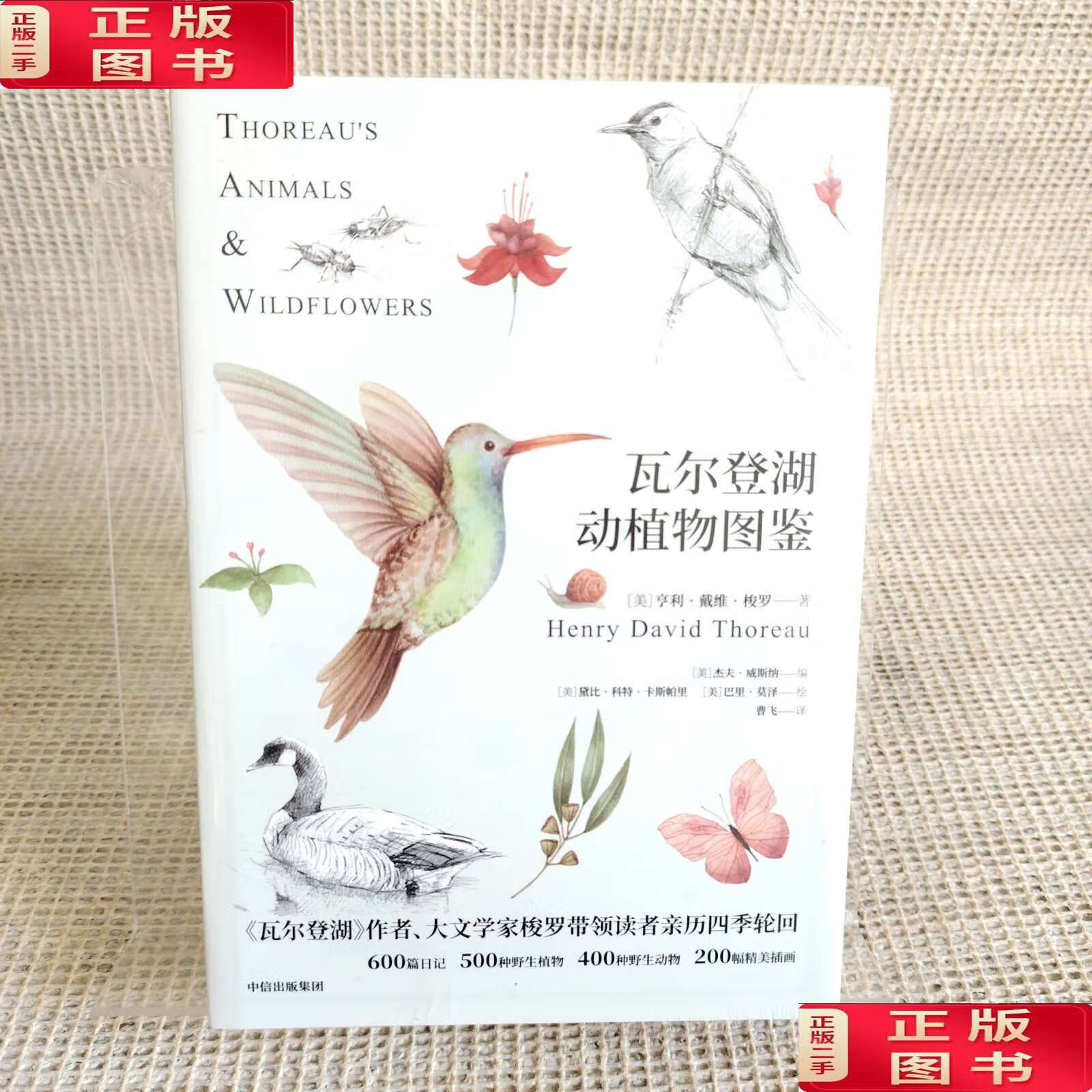 【二手9成新】瓦尔登湖动植物图鉴 /亨利·戴维·梭罗 中信集团,中信