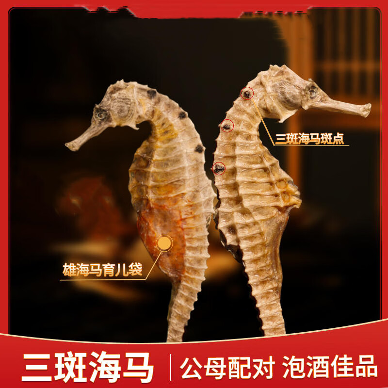 太守堂 海马药材 三斑海马干货公母一对配男性滋补泡酒料中药材养生