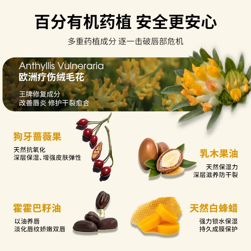 Dr.Hauschka德国世家滋养润唇膏4.9g滋润保湿补水防裂淡纹有机药植温和修护