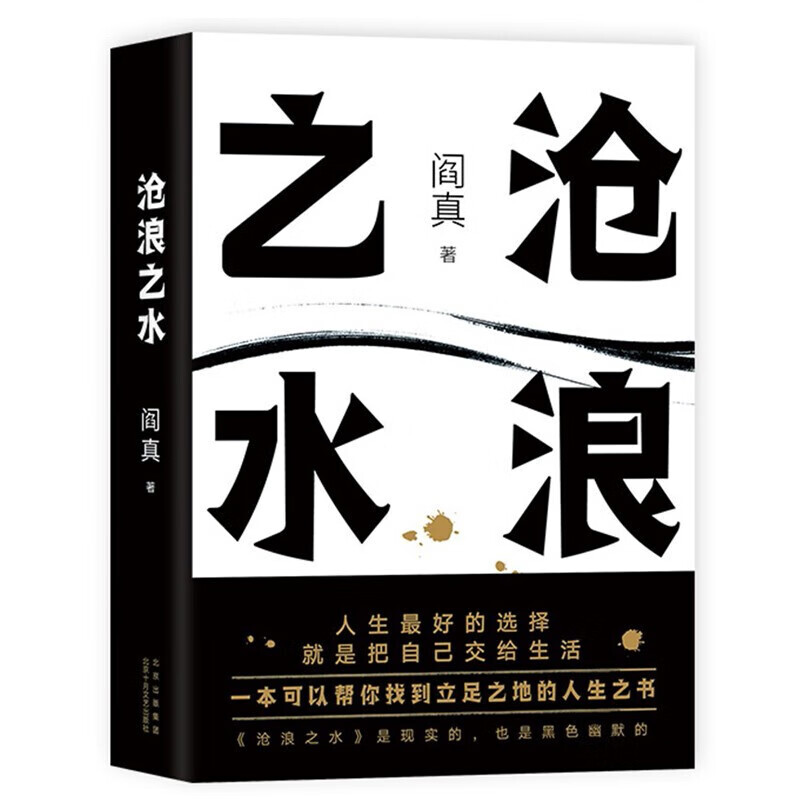 阎真：沧浪之水【新华书店，正版图书】