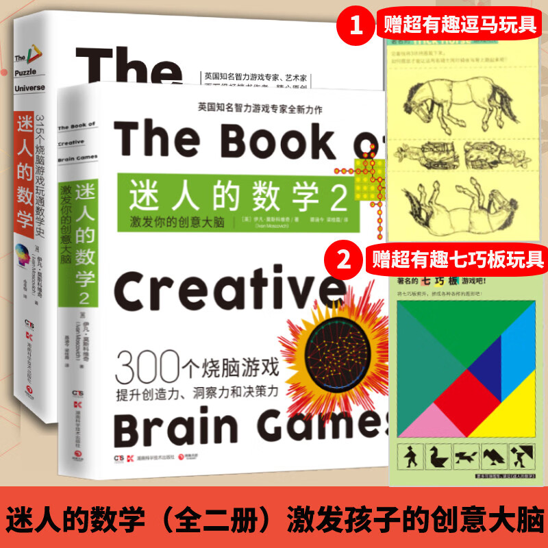 【送玩具】迷人的数学12套装2册 315个烧脑游戏玩通数学史+激发你的创意大脑