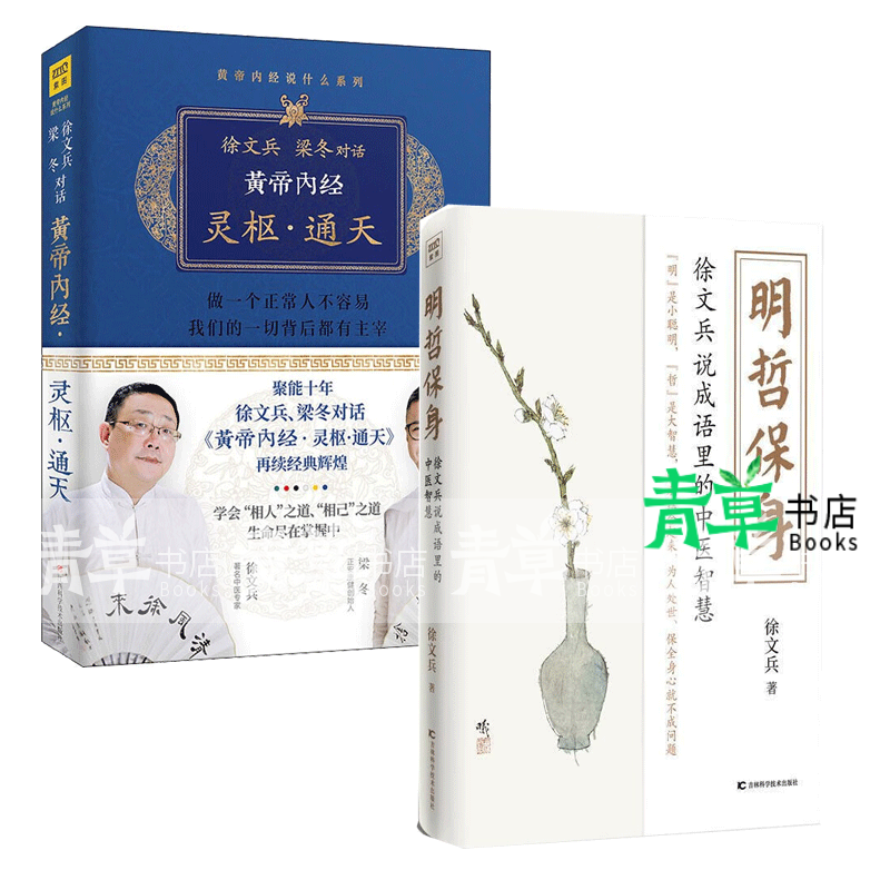 徐文兵梁冬对话黄帝内经灵枢通天 明哲保身 全2册 说成语里的中医智慧