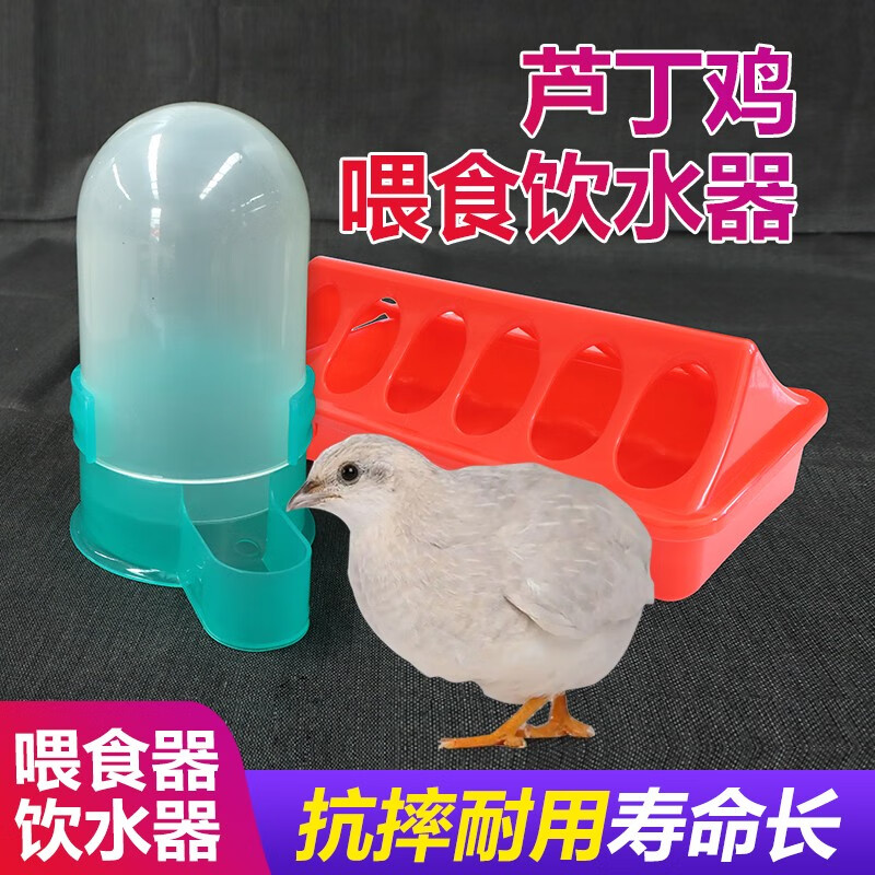 欣明佳芦丁鸡食槽养鸡自动喂食器小鸡槽子小型自动饮水器鹌鹑饲料喂食
