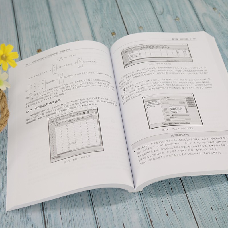 SPSS统计分析入门与应用精解(视频教学版)