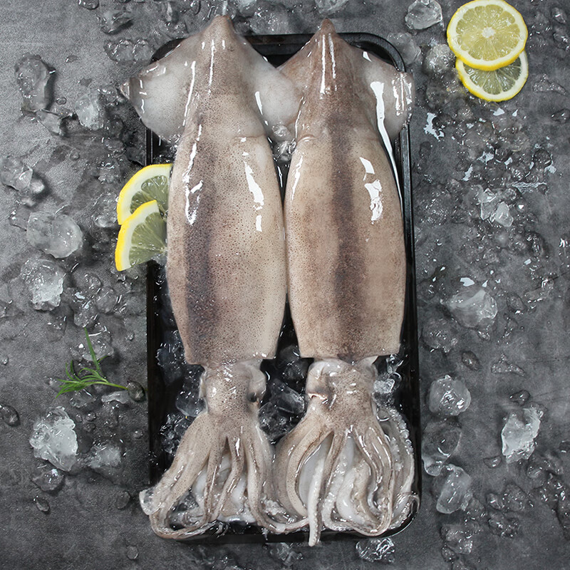 初鲜鲜冻大鱿鱼(2条)净重600-650g 铁板鱿鱼 火锅烧烤食材 国产海鲜属于什么档次？