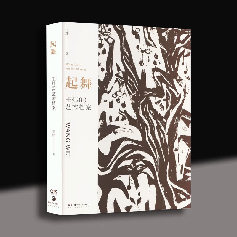 起舞——王炜80艺术档案 名家画集 湖南