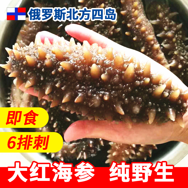俄珍堡俄罗斯进口野生海参即食6排刺参500克大红海参无污染水产海鲜