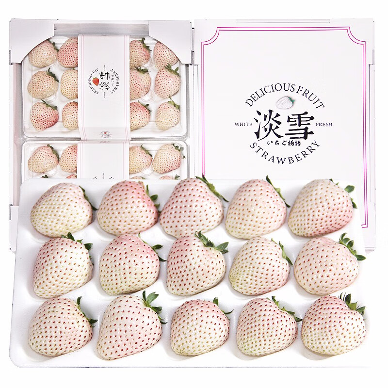 驰振白草莓淡雪草莓白色礼盒新鲜白雪公主日本送女友节日礼物水果 淡雪草莓1大盒【2小盒】