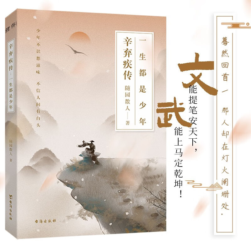 辛弃疾传:一生都是少年(在苟且的时代里,