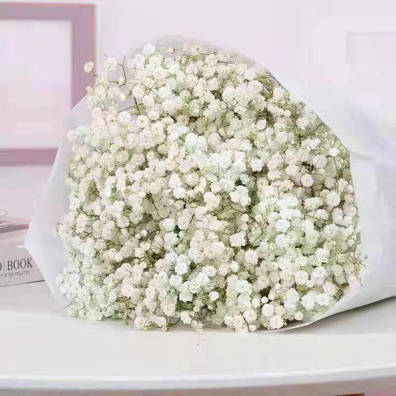 京东怎么查干花历史价格|干花价格历史