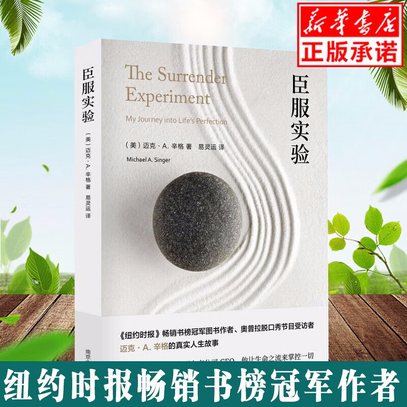 现货 臣服实验 简版从隐居者到上市公司C