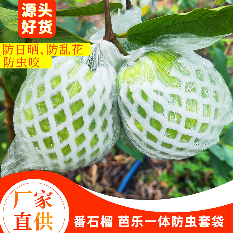 花e流番石榴套袋网袋芭乐防虫网袋专用一体泡沫包装袋石榴袋水果网套
