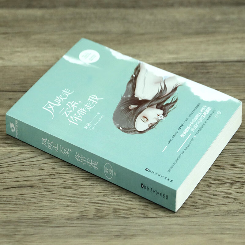 校园言情甜宠小说书籍他在海棠花下西城往事你是迟来的欢喜他笑时风华