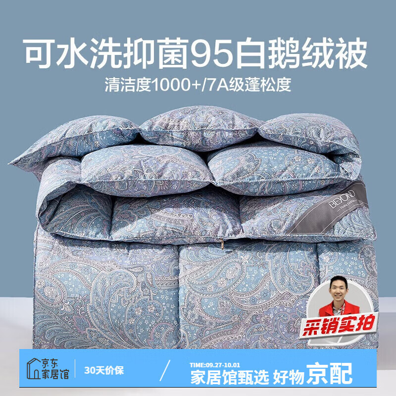 博洋（BEYOND）家紡 亞斯95%白鵝絨被被 冬被(900g填充) 可水洗白鵝絨冬被-亞斯 200*230cm
