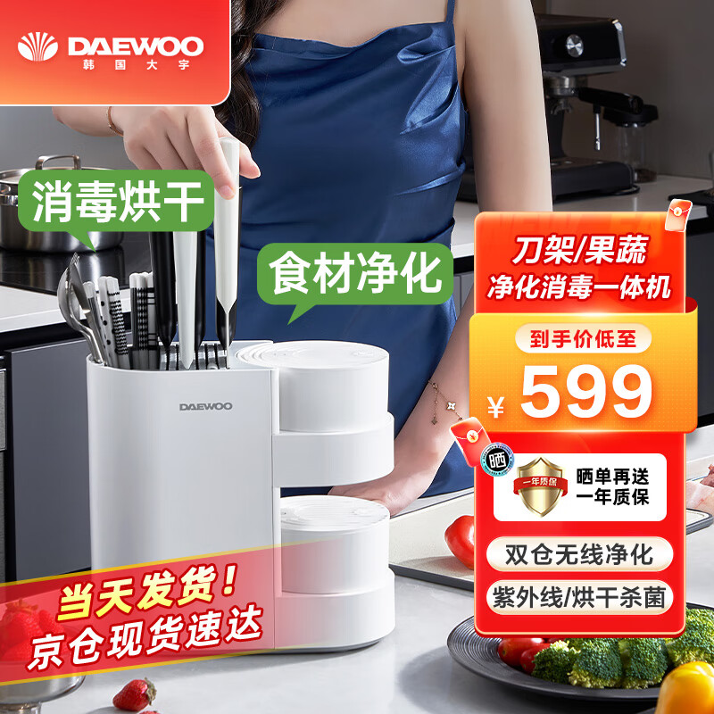 大宇(DAEWOO)双仓无线果蔬清洗机净化器水果蔬菜去农残激素洗菜神器消毒刀具烘干一体机 刀筷除菌机QX7双仓白色