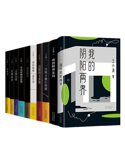 王小波作品(全15册)我的阴阳两界 我的精神家园 似水柔情 绿毛水怪