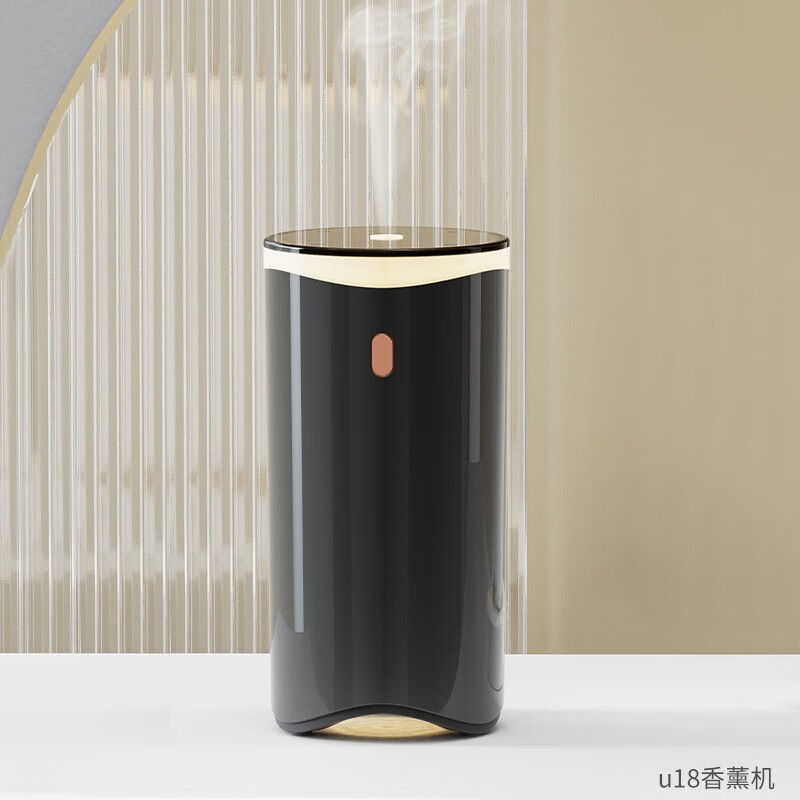 大家曝光一粒（yili）车载加湿器价格是多少，交流三个月心得分享