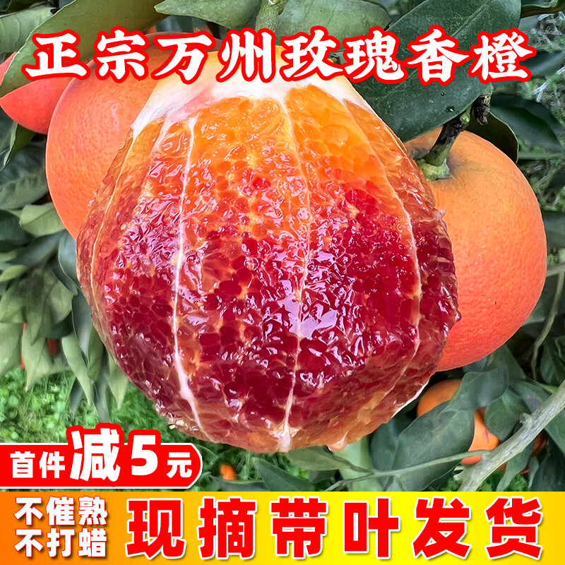 正宗玫瑰香橙手剥当季新鲜水果重庆塔罗科血橙红心红肉中华血橙子 （9斤） 60mm-65mm（正宗玫瑰香橙）