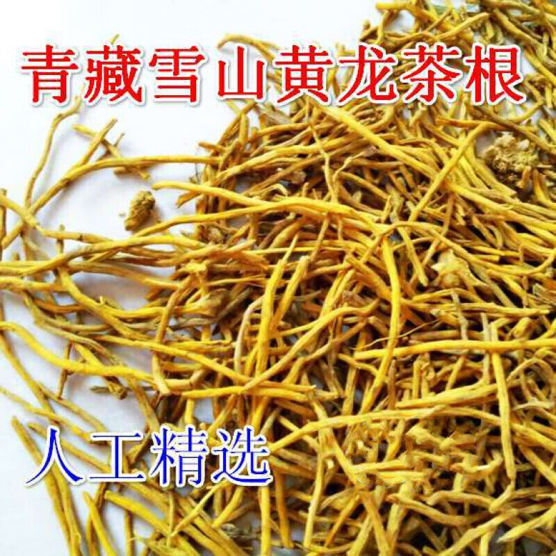 青藏雪山黄龙草根须条茶人工精选花草茶养生茶黄龙茶500g