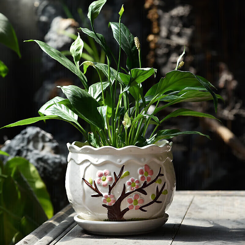 ���������մɴ����̼��ô�����Լ������ܵ������⻨�� ������ѩ��÷���� С��(�ھ�10.5cm��9cm)