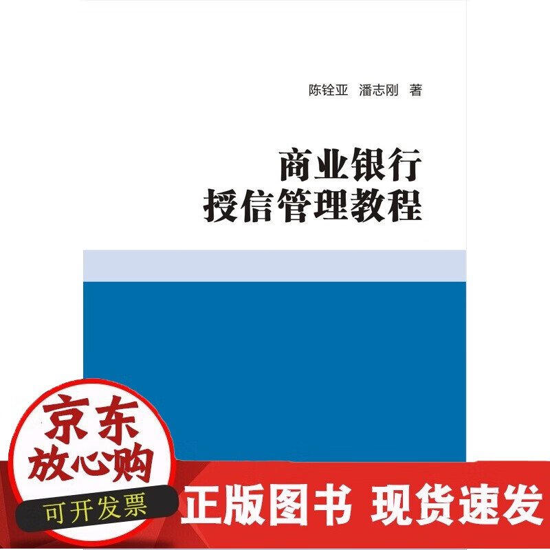 商业银行授信管理教程 陈铨亚