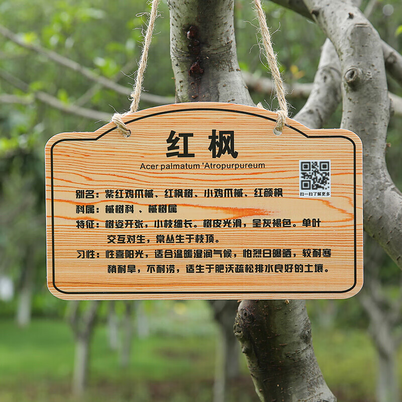 树牌花草牌亚克力植树节植物挂牌树木认养介绍标识提示牌设计学校公园
