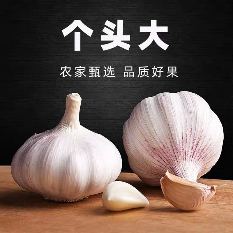 山东大蒜头 颗粒饱满 新鲜蔬菜生鲜蒜现货速发 调味蔬菜品 优选大蒜头（单果约5.0cm 净重3斤）