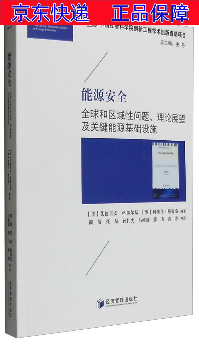 正版图书 能源安全:全球和区域性问题,理论展望及关键能源基础设施 工