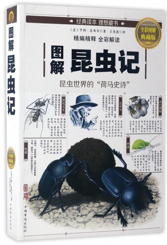 图解昆虫记(全彩图解典藏版)