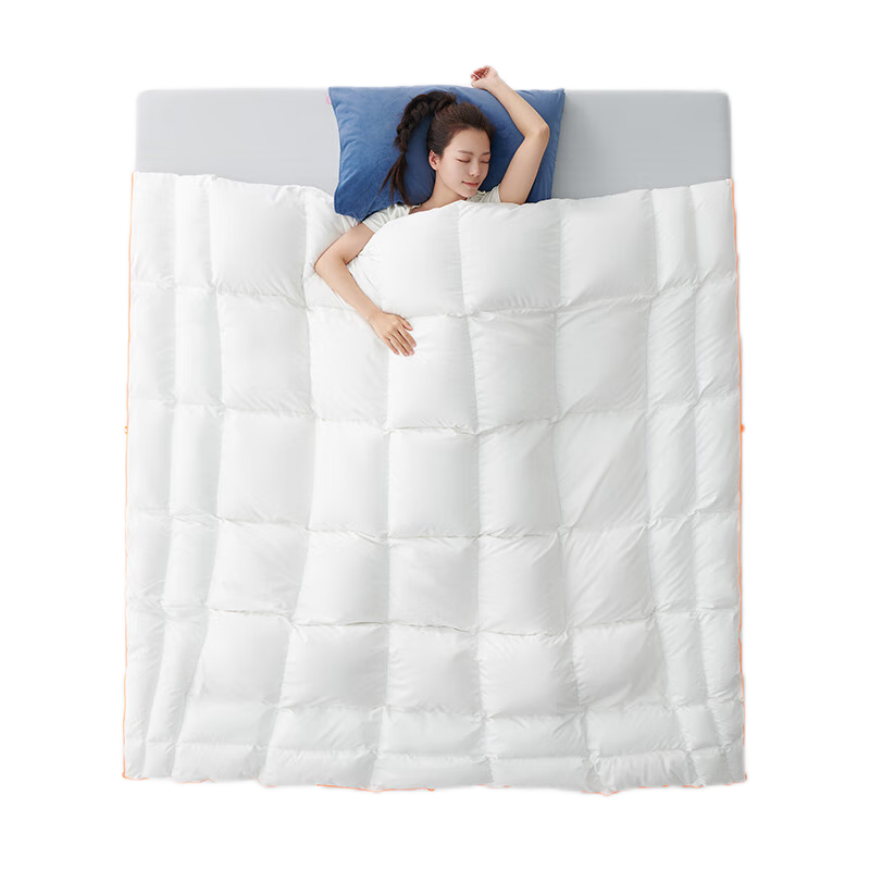 ɵ ȫA95%׶ޱ  845g 220*240cm